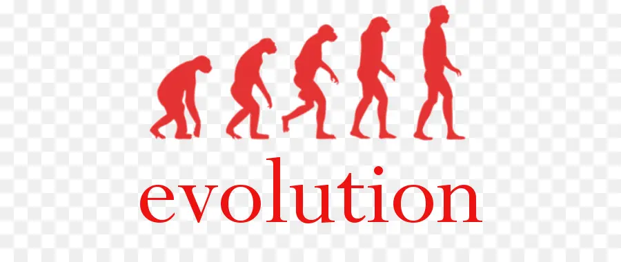 Évolution，Humain PNG