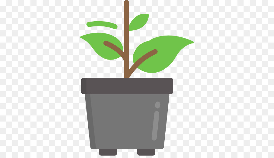 Plante En Pot，Usine PNG