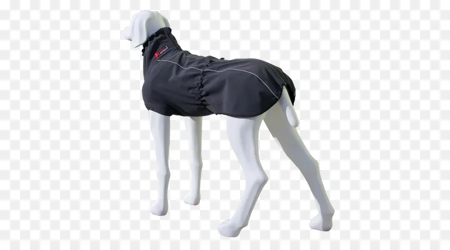 Mannequin De Chien，Manteau PNG