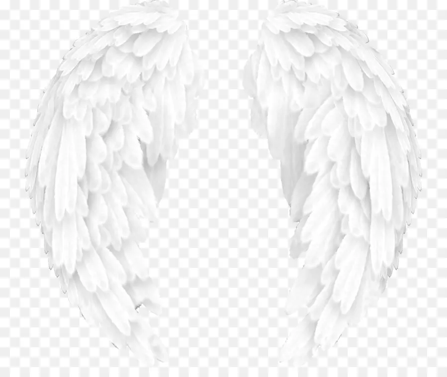 Ailes D'ange，Plumes PNG