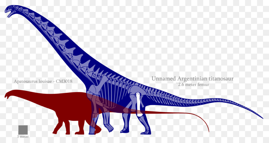 Squelette De Dinosaure，Préhistorique PNG