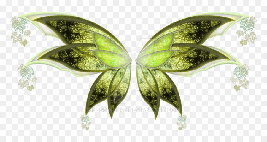 Papillon，Feuille PNG