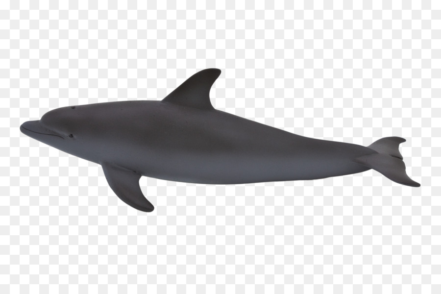 Baleine，Océan PNG