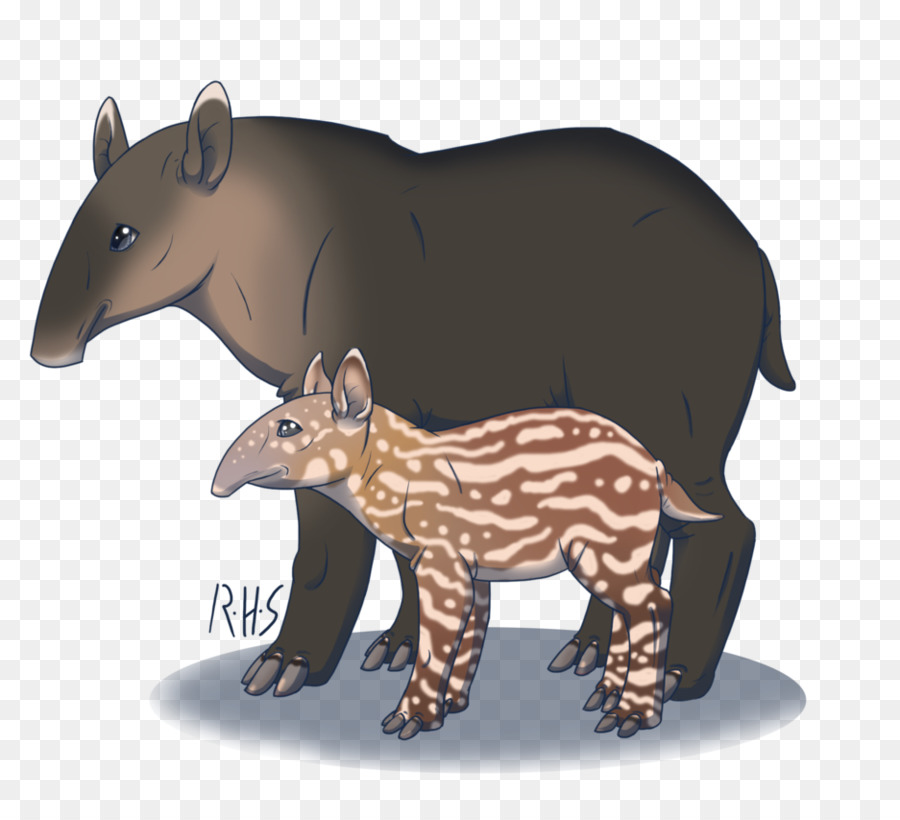 Ours，Tapir PNG