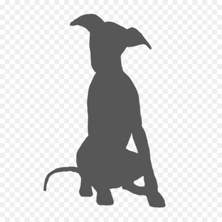 Silhouette De Chien，Animal PNG