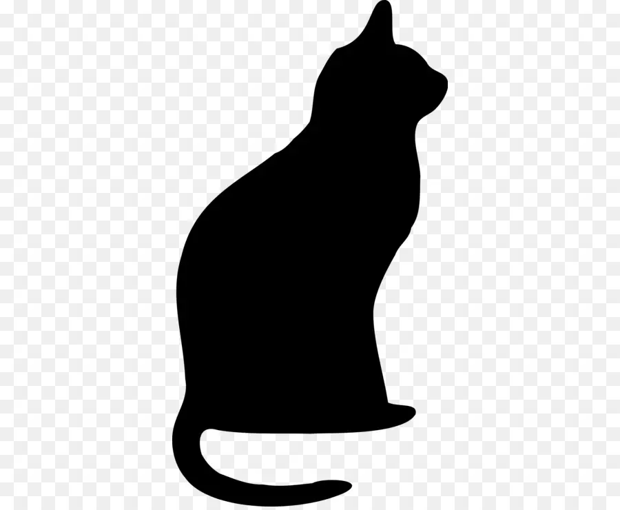 Silhouette De Chat Noir，Chat PNG