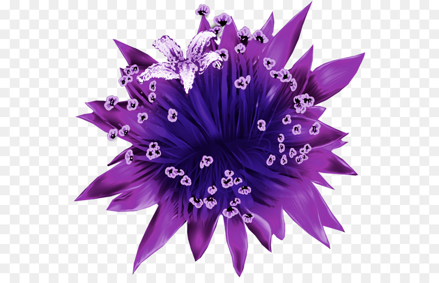 Fleur Violette，Fleurir PNG