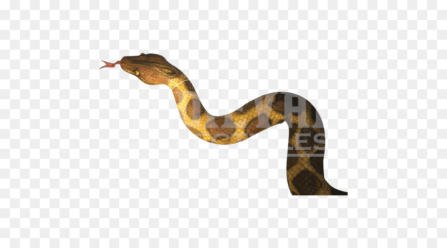 Cobra，Serpent PNG