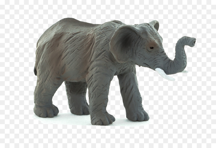 Éléphant，Faune PNG