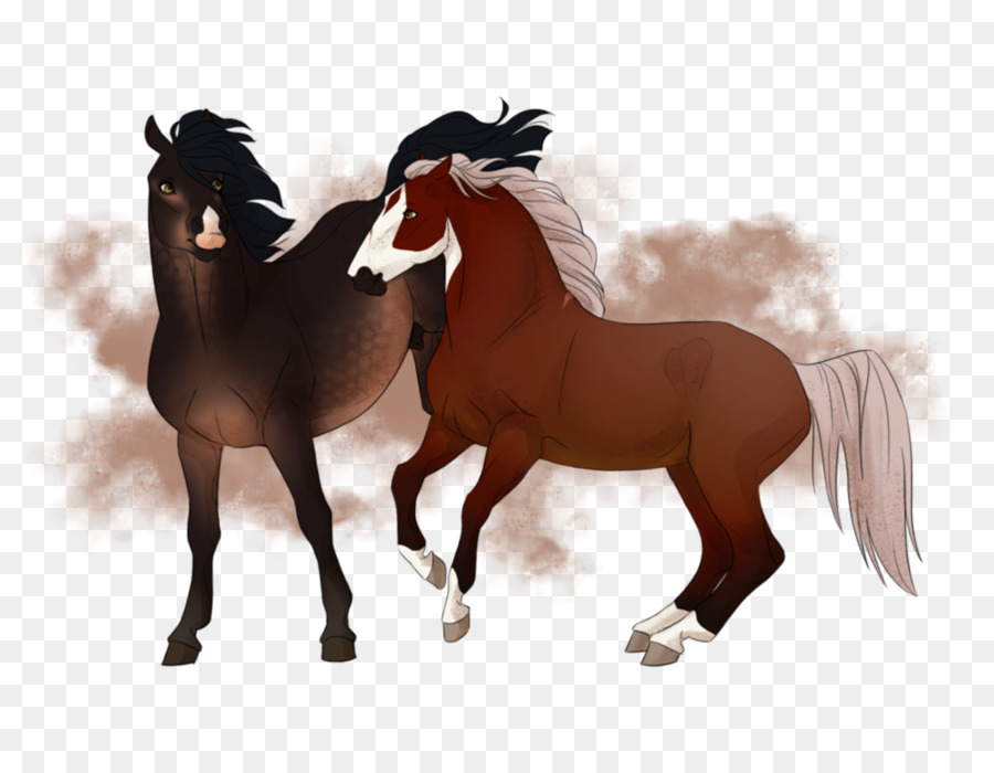 Chevaux，Poulain PNG