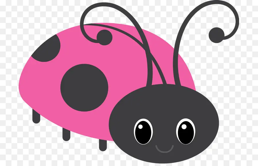 Coccinelle，Bogue PNG