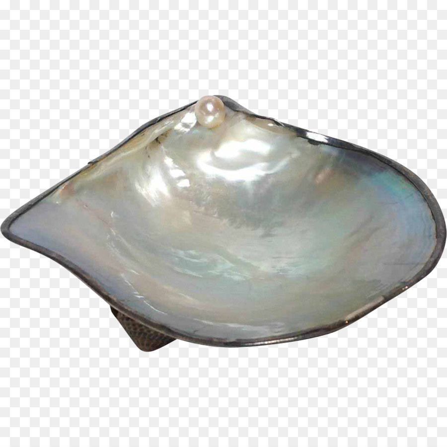 Perle En Coquille，Perle PNG