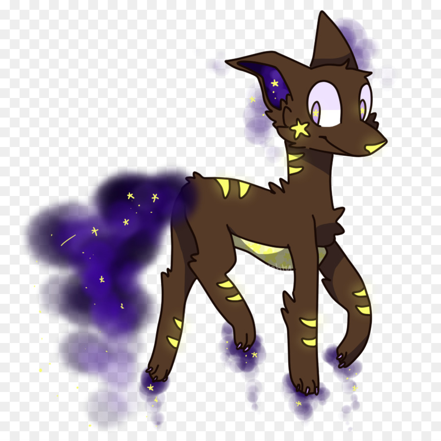 Chat，Poney PNG