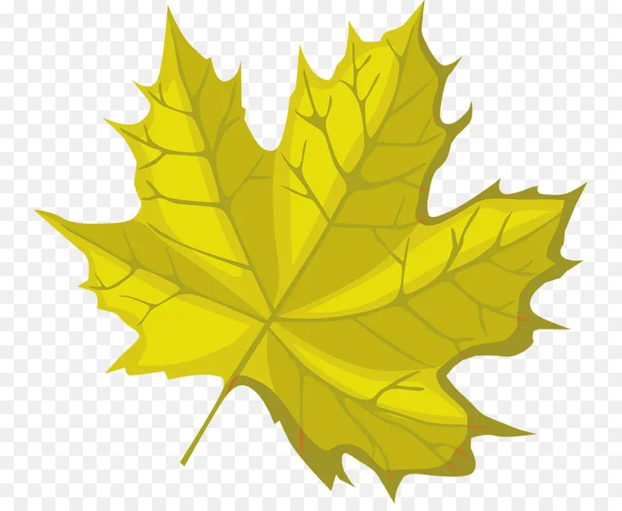 Feuille Jaune，Automne PNG