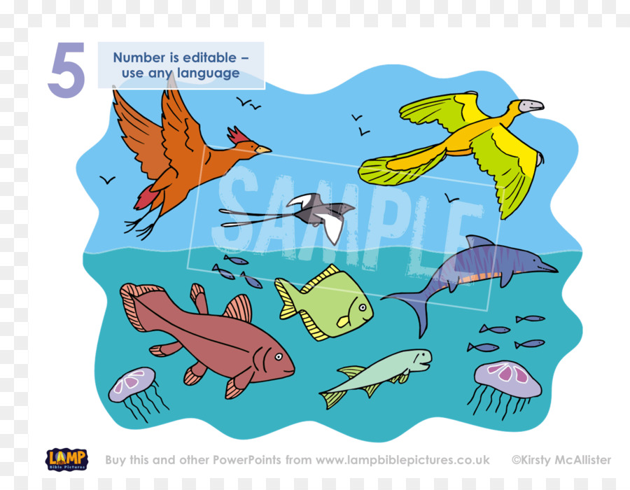 Animaux Marins Et Aériens，Poisson PNG