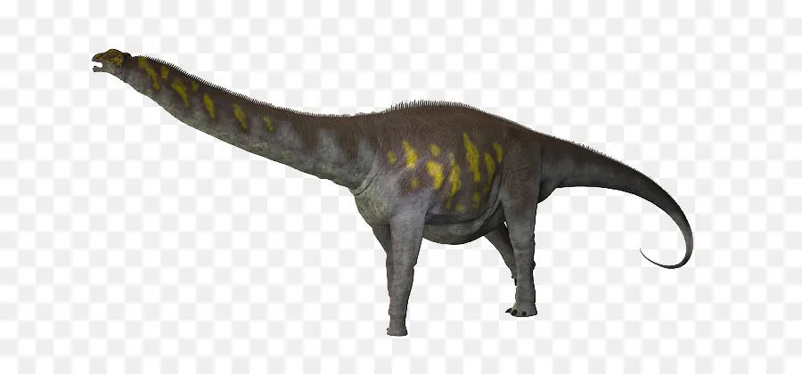 Argentinosaure，Titanosaurus PNG
