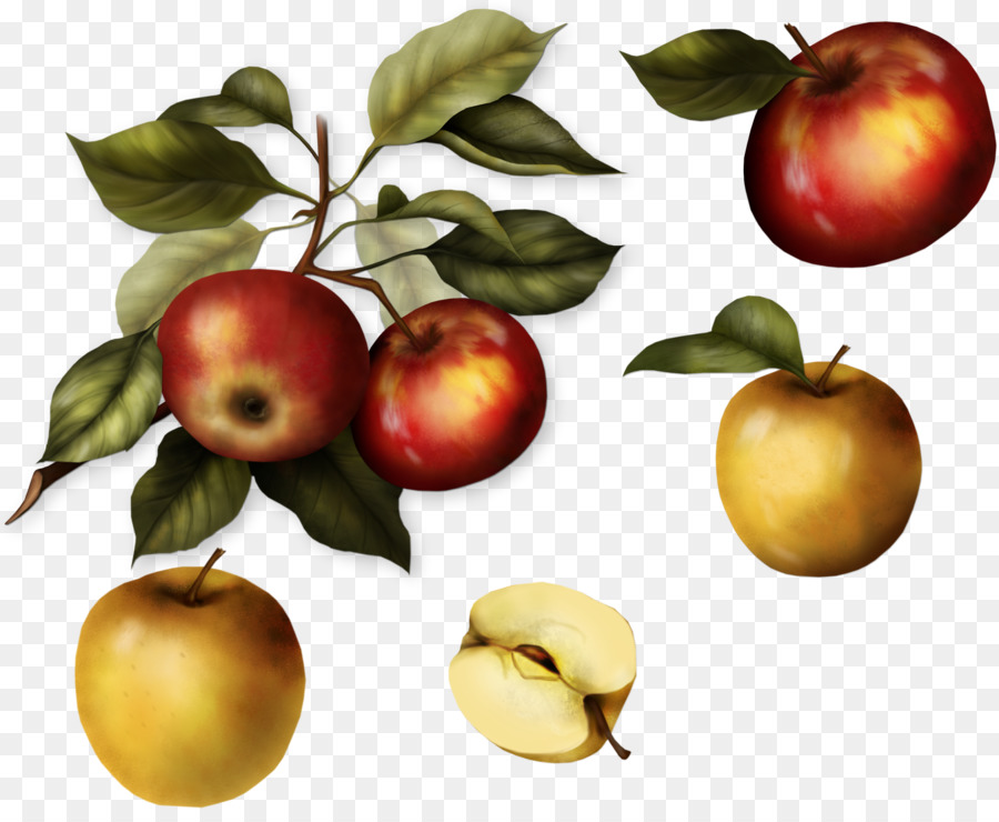 Pommes，Verger PNG