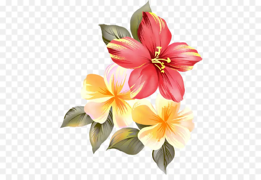Fleur，Sabot PNG
