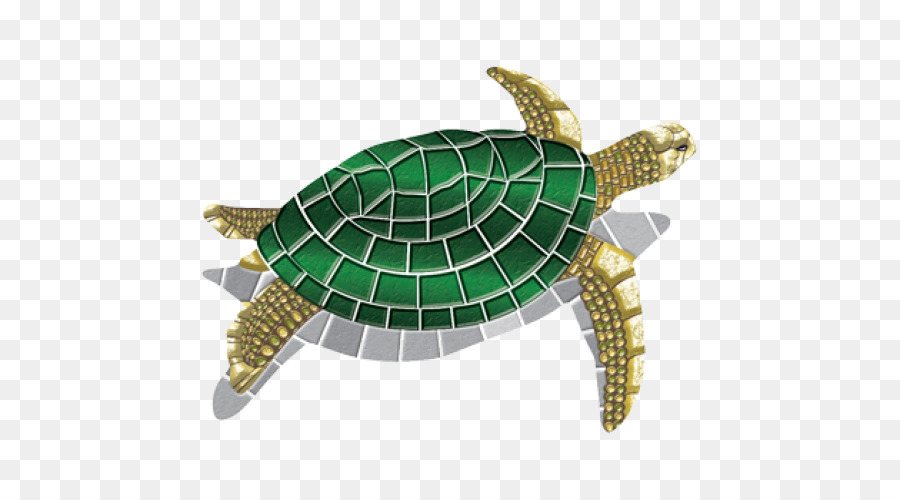 Illustration De Tortue，Vert PNG