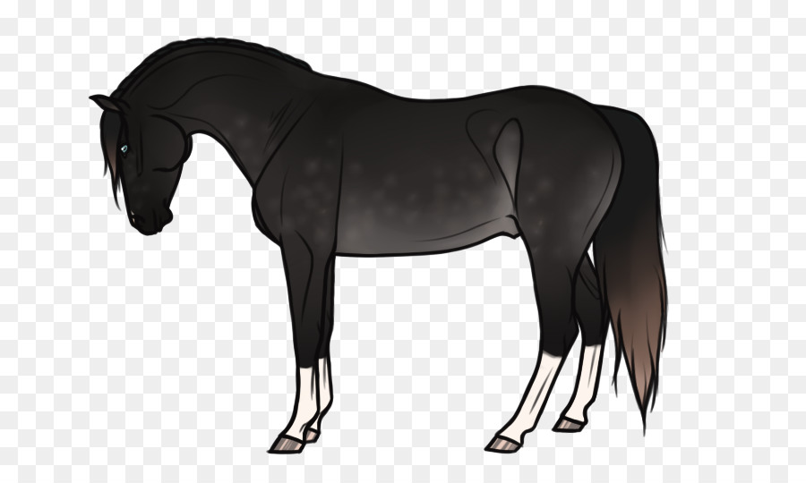 Cheval，équidé PNG