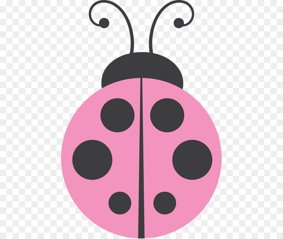 Coccinelle Rose，Insecte PNG