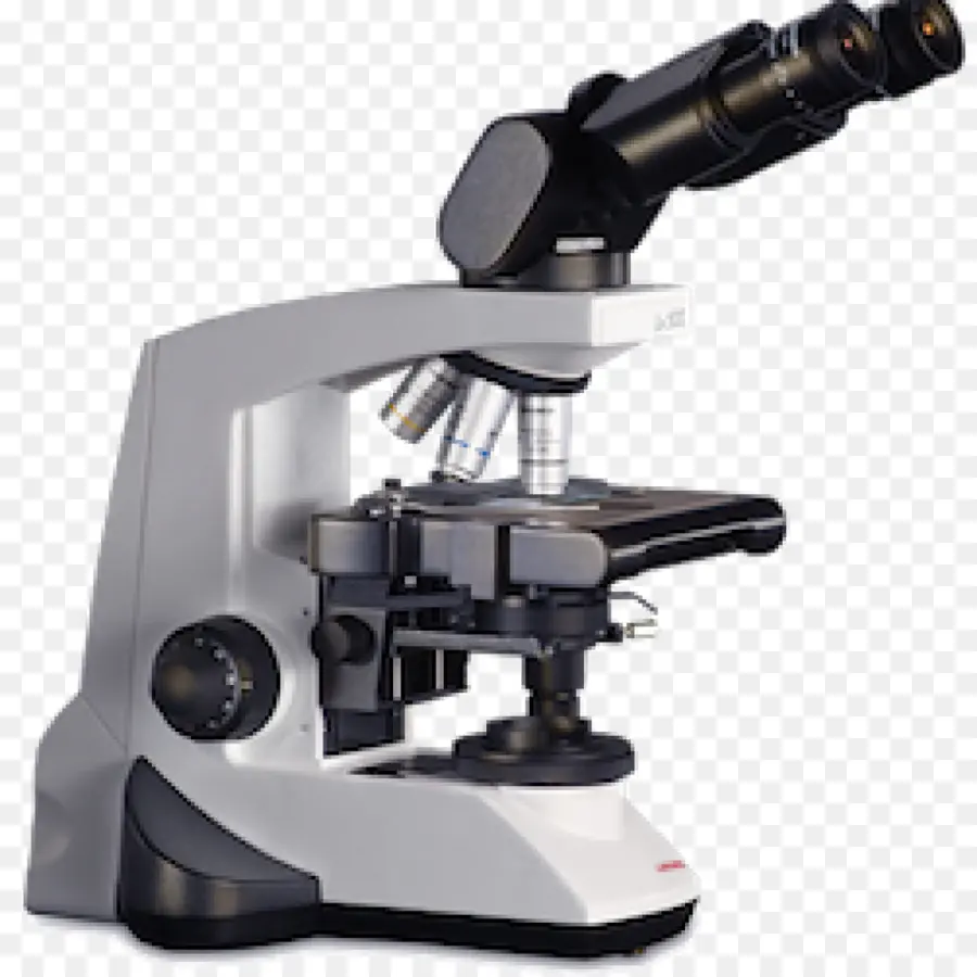 Microscope，Science PNG