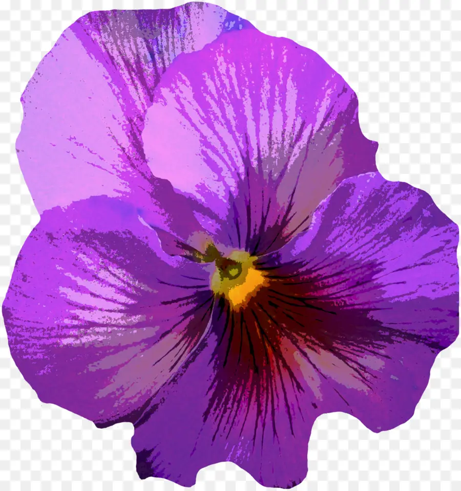 Pensée，Violet PNG