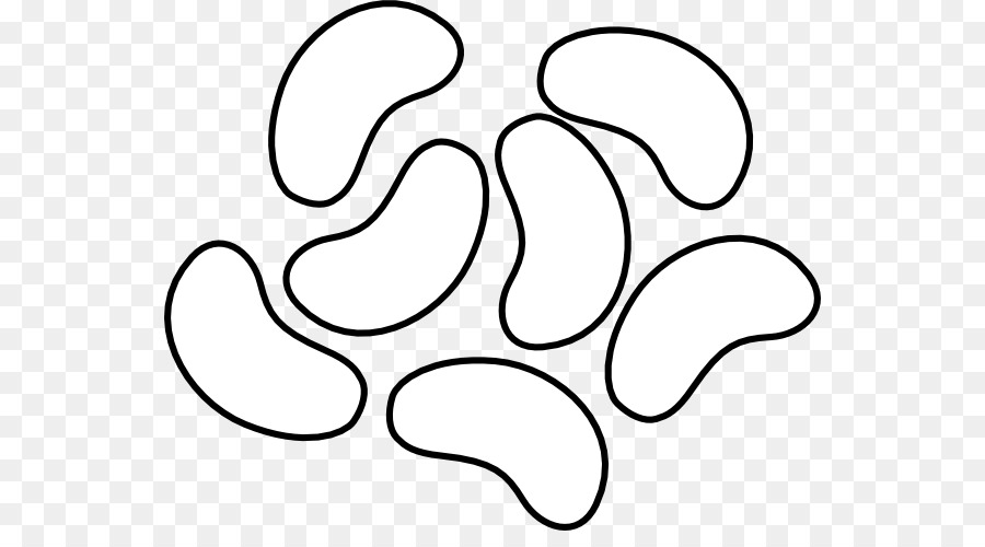 Formes De Haricots，Contour PNG