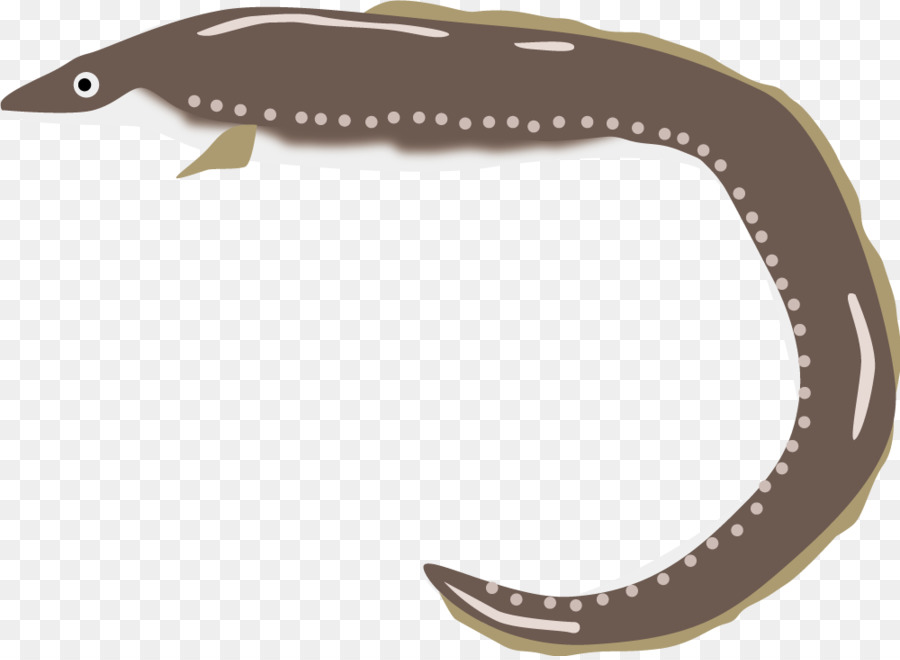 Unagi，Kabayaki PNG