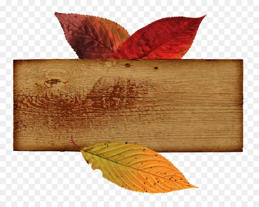 Panneau En Bois，Feuilles PNG