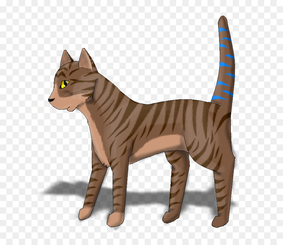 Chat，Animal De Compagnie PNG