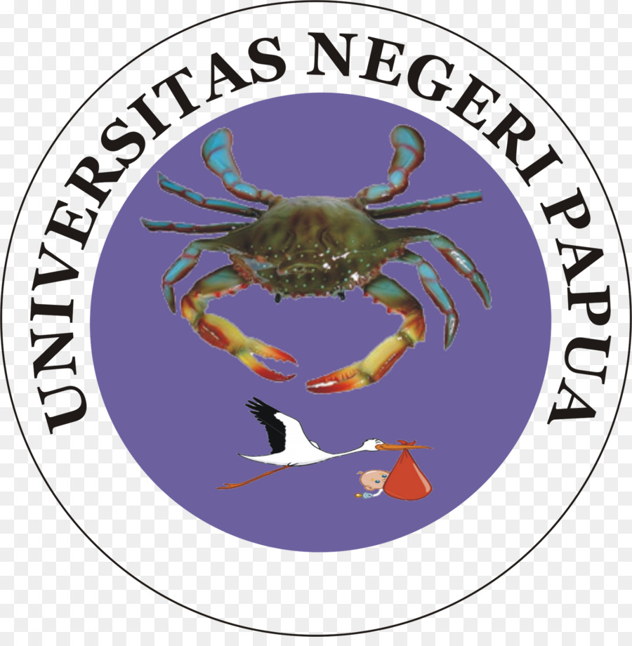 La Fondation De L Université，Université PNG