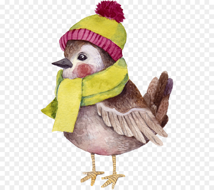 Oiseau Avec Chapeau Et écharpe，Hiver PNG