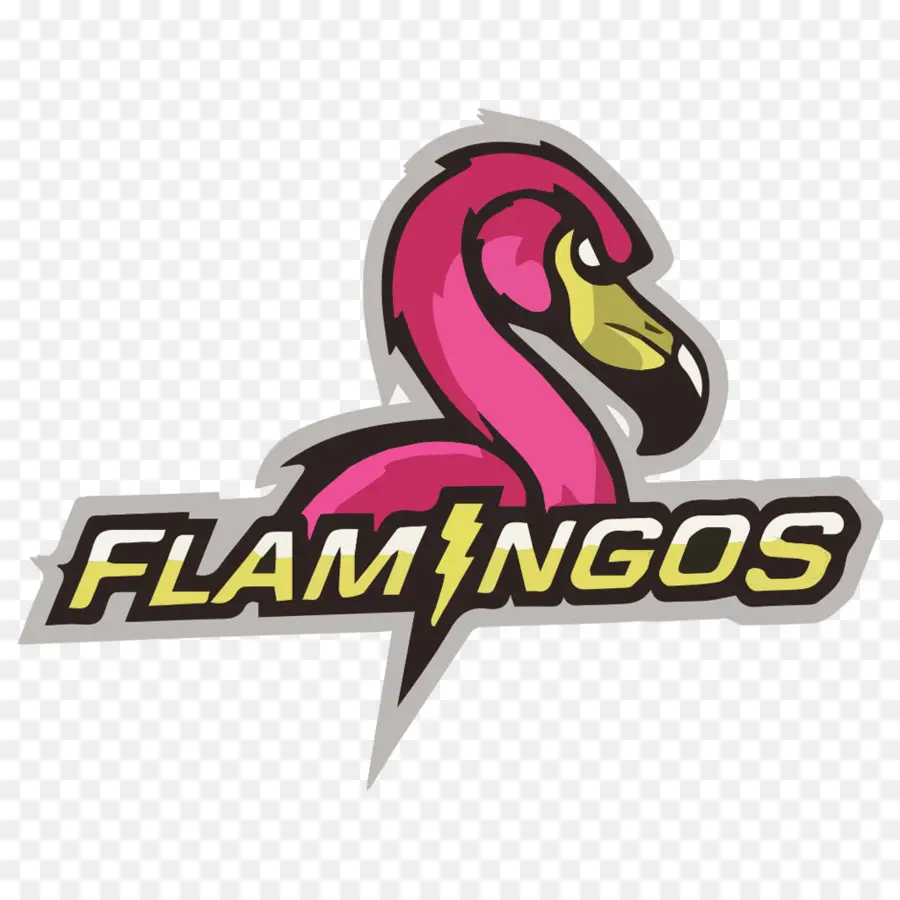 Flamants Roses，Flamant PNG