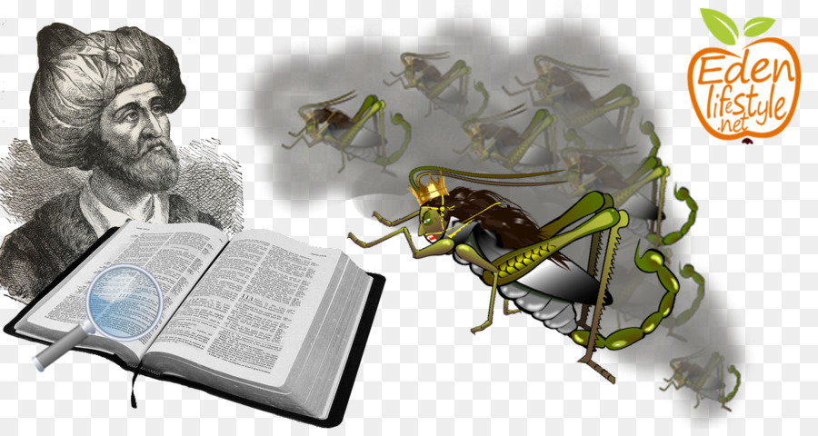 Les Insectes，Giclée PNG