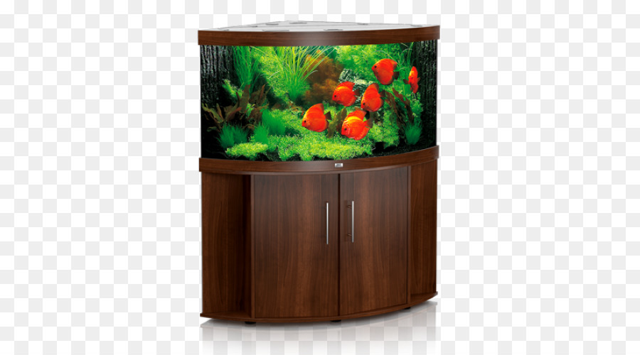 Aquarium，Les Aquariums PNG