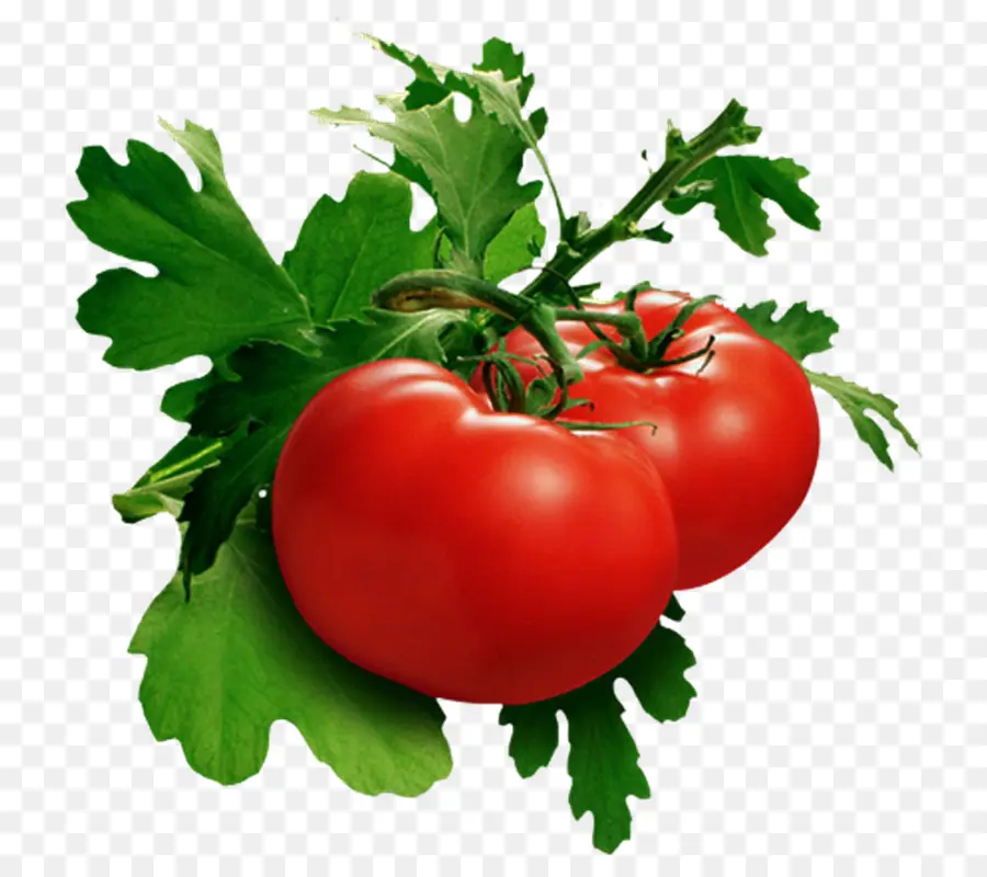 Légumes，Tomate PNG