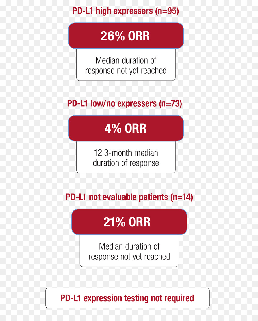 Durvalumab，Réfugié PNG