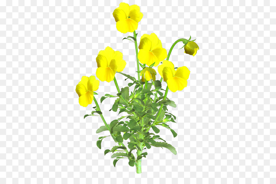 Fleur Jaune，Fleur PNG