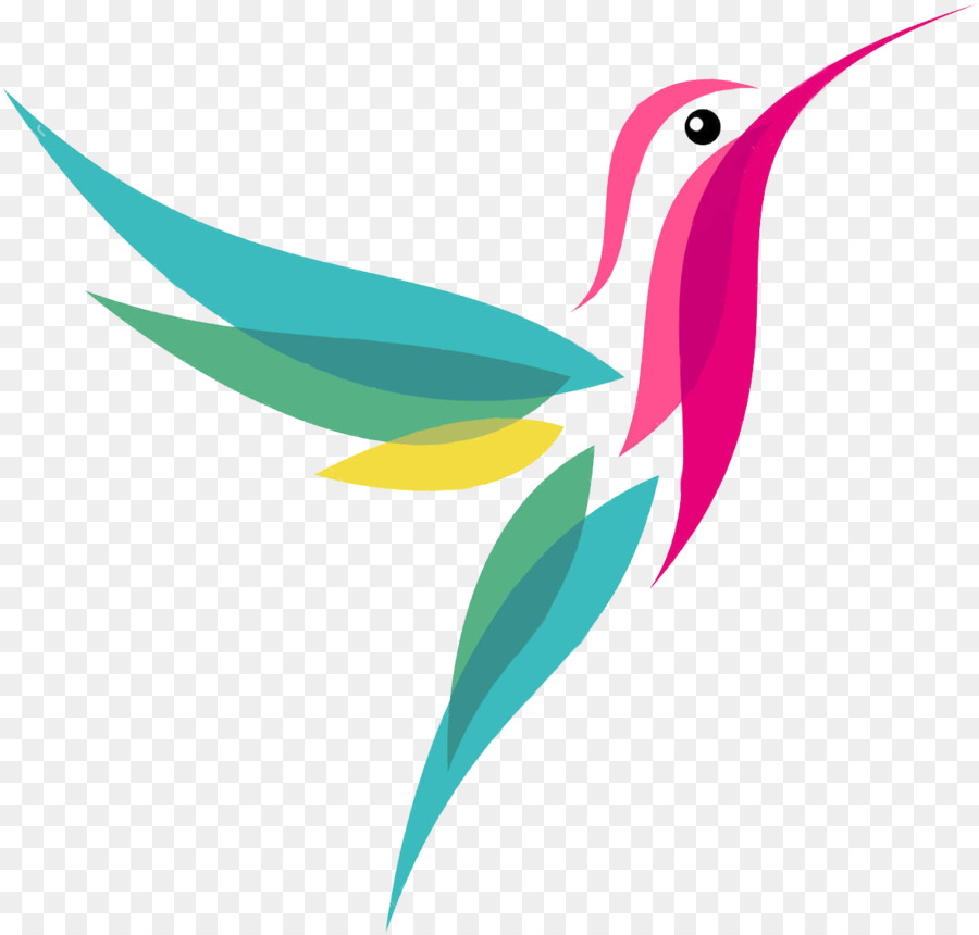 Colibri Oiseau Royaltyfree Png Colibri Oiseau Royaltyfree Transparentes Png Gratuit