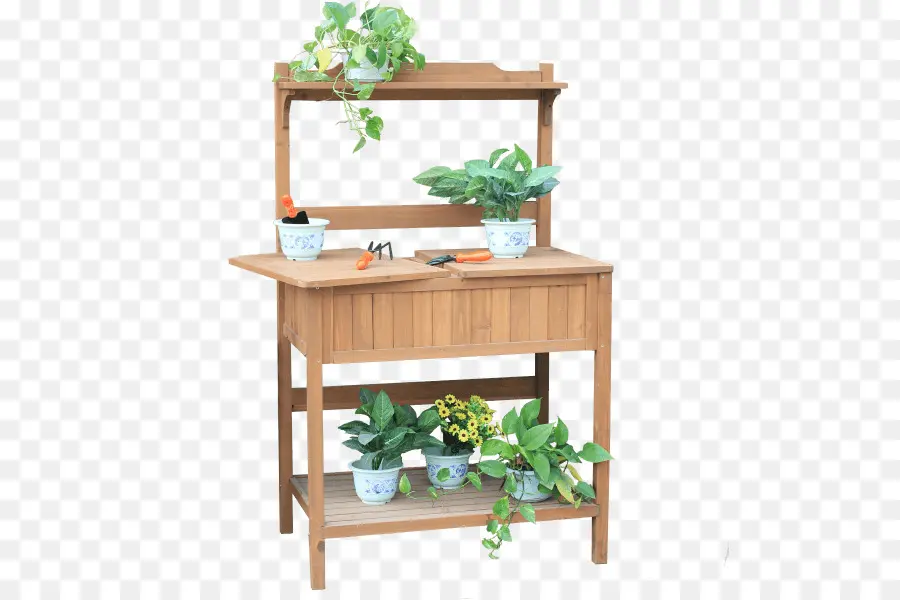 Banc D'empotage，Plantes PNG