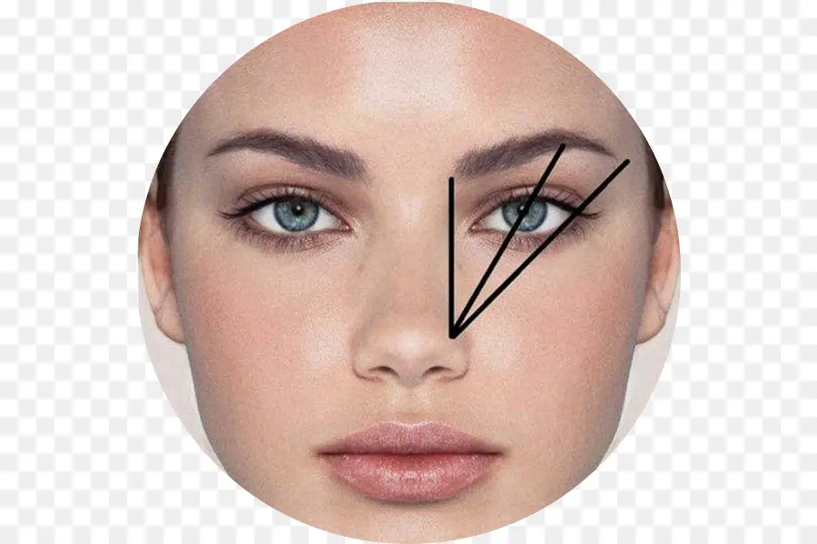 Diagramme De Visage，Se Maquiller PNG