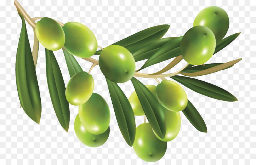 Olives Vertes，Bifurquer PNG