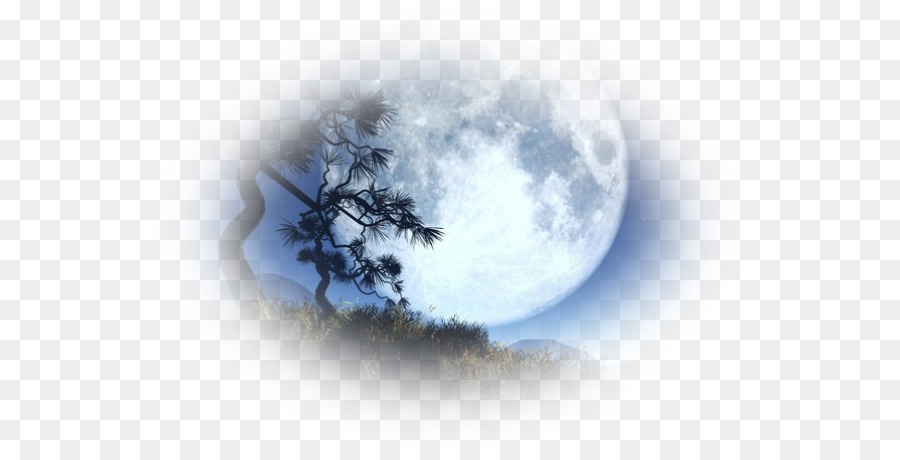 Lune，Arbre PNG