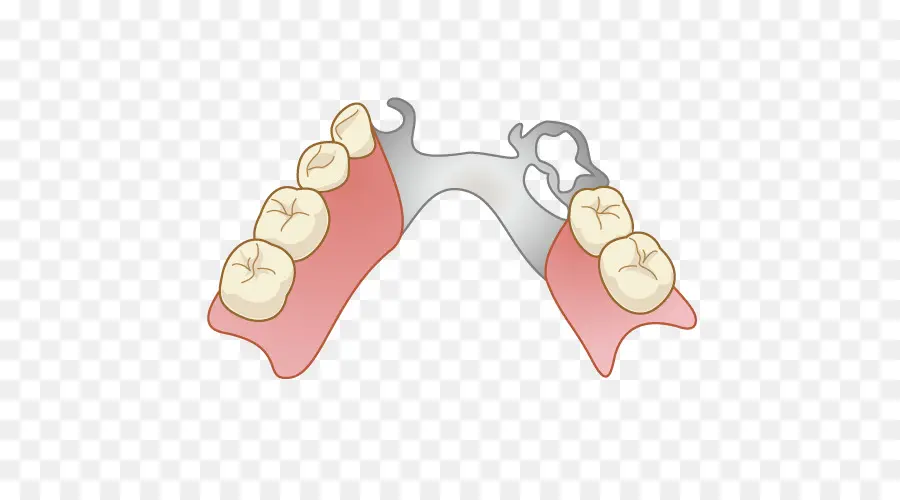 Dentiers，Dents PNG