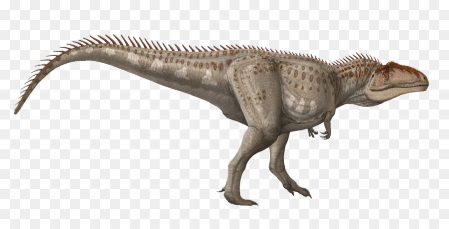 Le Tyrannosaure，Velociraptor PNG