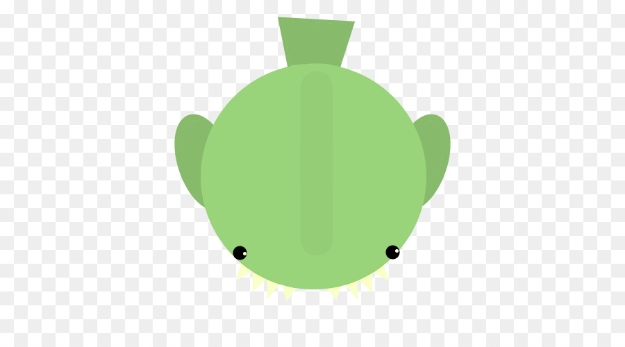 Feuille，Tortue PNG