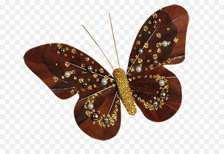 Papillon，Insecte PNG