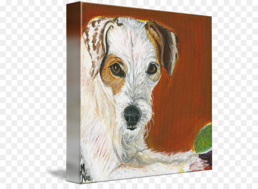 Fox Fox Terrier，Fox Terrier PNG