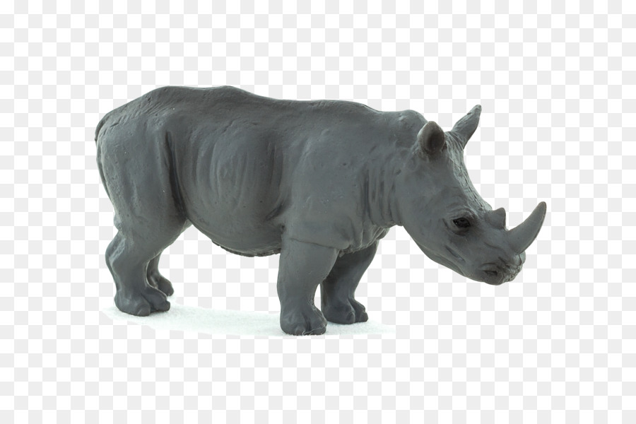 Rhinocéros，Sauvage PNG